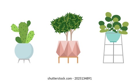 A set of stylish fashionable indoor plants for the house. Isolated on a white background. Dracaena, monstera, boxwood, spatifilum, ficus benjamin, pineapple, zamiokulkas. Color flat vector