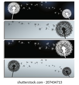 Set of stylish horizontal banners black and grey with dandelions  isolated on white background. Beautiful trendy romantic wallpaper. Vector illustration