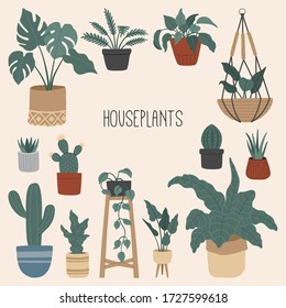 Set of stylish house plants, hand drawn flowers in pots, Scandinavian interior with monstera, cacti, ficus. Vector illustration, cartoon flat style.  
