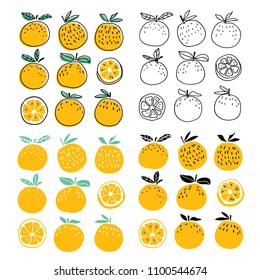 Set of stylish oranges fruits vector illustration. Summer design