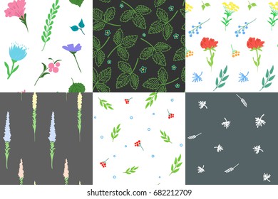 Set of stylish seamless patterns. Herb and flower. Background used for different types of design. Vector illustration