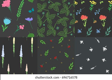 Set of stylish seamless patterns. Herb and flower. Background used for different types of design. Vector illustration