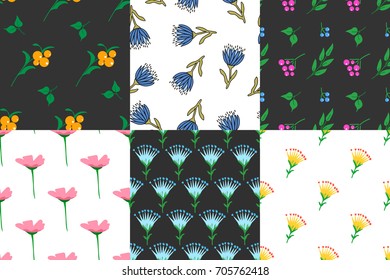 Set of stylish seamless patterns. Herb and flower. Background used for different types of design. Vector illustration