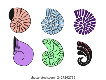 Set of stylish seashells with thick black line elements.