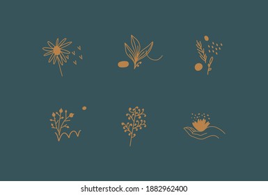 Set of stylish vector floral logo illustrations. Golden luxury style. Flowers, herbs, brunch, leaf, dots. Isolated on dark background.