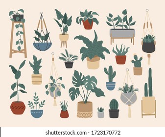 Set of stylish vintage house plants, hand drawn flowers in pots, hanging macrame planters, Scandinavian interior with monstera, cacti, ficus. Vector illustration, cartoon flat style.  