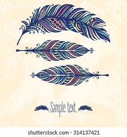 Set of stylized abstract feathers on grunge background. Vector illustration
