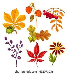 Set of stylized autumn leaves and plants. Objects for decoration, design on advertising booklets, banners, flayers.