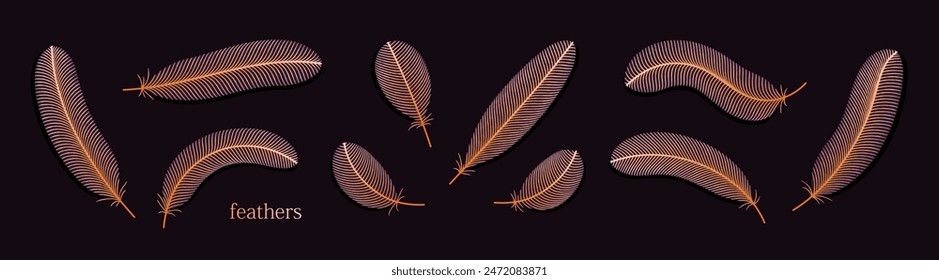 Set of stylized bird feathers. Vector art