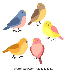 Set of stylized birds. Image of wild birdie in simple style.
