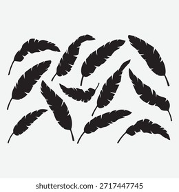 Set of stylized black feather silhouettes for graphic design use