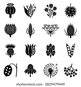 A set of stylized black and white illustrations depicting various botanical elements including seed pods flowers and berries