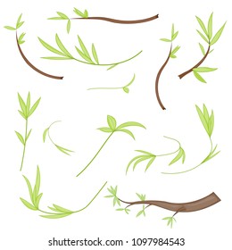 set of stylized branches with leaves. isolated on white background in vector. collection of leaves, twigs, shoots in a cartoon style