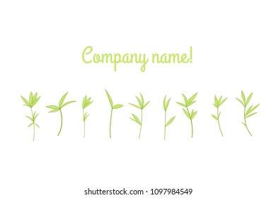 set of stylized branches with leaves. isolated on white background in vector. the template for the logo