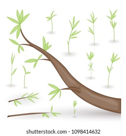 set of stylized branches with leaves. isolated on white background in vector. collection of leaves, twigs, shoots in a cartoon style