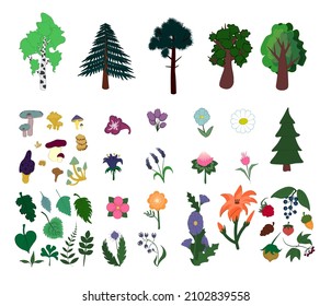 A set of stylized cartoon-style nature. Berries, acorn, walnut, pine cone, strawberry, raspberry, mountain ash . Trees are Christmas tree, spruce, birch, pine, oak. Mushrooms, tree leaves.