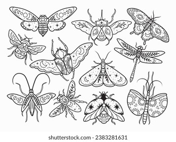 Set of stylized celestial beetle. Collection of flying magic insects with mystical sign. Mystical tropical moth. Vector illustration of flying beetles with wings. Linear art.