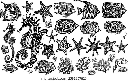 Set of stylized decorative Sea life Clipart, Fishes, seahorses, Sea stars, corals, vector black and white illustration