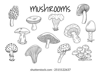 set of stylized doodle mushrooms, for stickers, icons, cover design, banner, menu, post.
