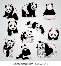 set of stylized doodle pandas in different positions