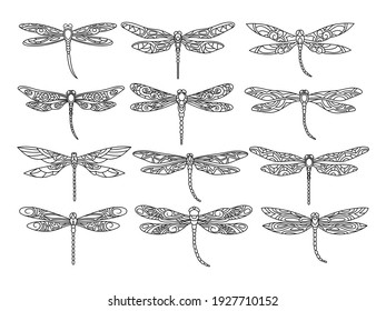 Set of stylized dragonflies. Collection of linear flying dragonflies. Vector illustration of on a white background.