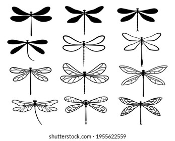 Set stylized dragonflies 