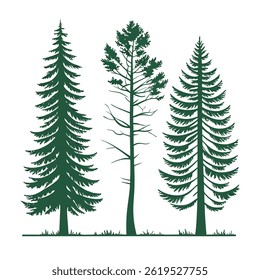 A set of stylized evergreen tree silhouettes, each with a unique shape and outline, arranged in two rows of five trees. The trees are solid green with no outlines.