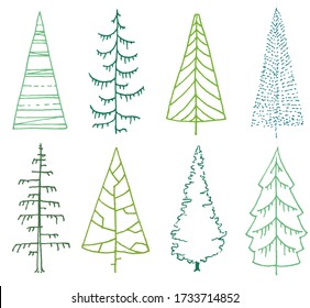 set of stylized fir trees on white. line art abstract spruce trees with minimal design