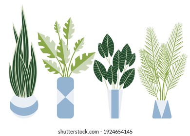 conjunto de plantas interiores estilizadas y planas en jarrones, macetas de flores, hojas decorativas, gráficos vectoriales