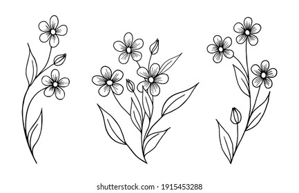 Forget Me Not Line Drawing Stock Illustrations Images Vectors Shutterstock