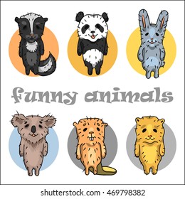 Set of stylized, funny animals (Panda, skunk, bear, beaver, koala, rabbit). Vector illustration