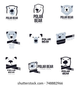 Set of stylized graphic polar bear logo templates. Collection of creative polar bear logotype templates, growth, development, power concept. Vector illustration isolated on white background.