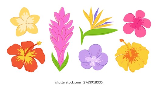 Set of stylized hand-drawn vector elements of tropical flora including hibiscus, plumeria, pink torch ginger, purple orchid and bird of paradise flower. Isolated on white background.