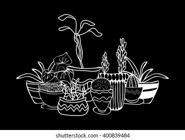 set of stylized house plants