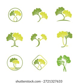 Un conjunto de ilustraciones estilizadas con varios diseños de hojas de ginkgo biloba en tonos de verde, dispuestos en un patrón de cuadrícula, sobre un fondo blanco limpio, ideal para logotipos o iconos.