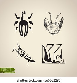 Set of stylized insects and beetles on a light background.
