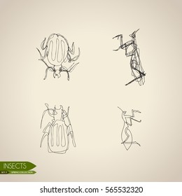 Set of stylized insects and beetles on a light background.