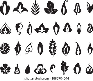 a set of stylized leaves. Individual vector leaves. Icons made of leaves on a light background.