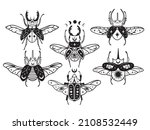 Set of stylized magic beetle. Collection of flying mythical insects scarab, stag beetle, etc. Celestial beetle with skull death. Vector illustration of flying beetles with mystic sign. Linear art.