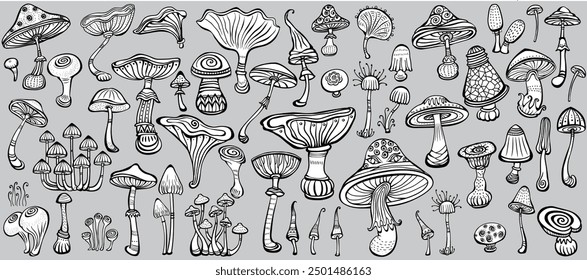 Set of Stylized Magic Mushrooms, doodle style, Handmade vector, black and white