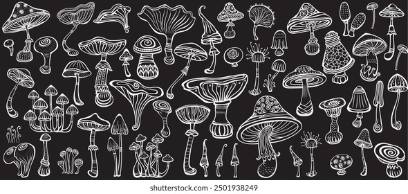 Set of Stylized Magic Mushrooms, outline, black and white, Handmade vector