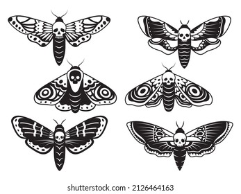 Set of stylized moth with skull. Collection of death's head hawk moth. Mystical tropical insects. Butterfly with gothic symbol. Tattoo. Vector illustration of flying scary insects. 