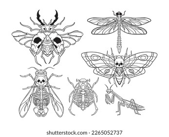 Set of stylized moth with skull. Collection of death's head hawk moth. Mystical tropical insects. Butterfly with gothic symbol. Tattoo. Vector illustration of flying scary insects. 