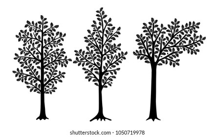 Set of stylized oaks isolated on white background. Vector illustration. Can be used for interior decoration