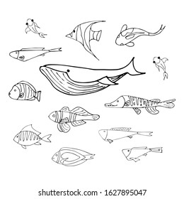 set of stylized ocean and river fish whale pike clown fish blue surgeon fish horned fish Japanese carp koi herring striped Vector stock illustration hand-drawn on a white background black line doodles