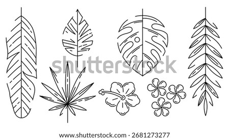 Set of stylized palm leaves. Decorative image of tropical foliage and plants.
