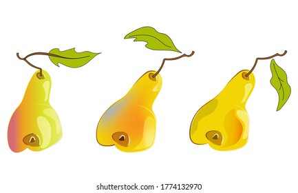Set of stylized pears.
Healthy foods.
Bright vector isolated illustration.