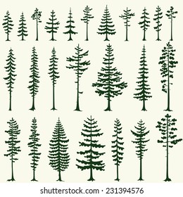 Set of stylized pine silhouettes. Vector illustration.