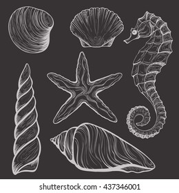 set of stylized seashells linear silhouettes sketch in retro style isolated on dark background, handmade, starfish,seahorse - vector Stock