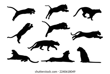 Set of stylized silhouettes of different poses tigers. Isolated on white background. Tiger logo designs set. Symbol, Vector.